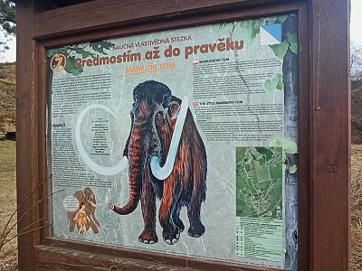 Informace o mamutech