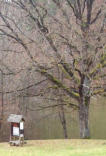 Stromy ještě spaly i u třetího rybníka