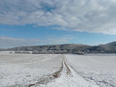 Cesta z města