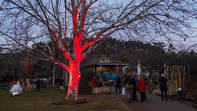 Křišťálová Botanická zahrada v Troji