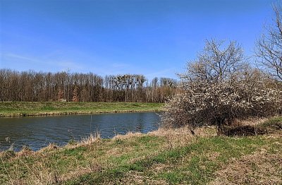 Fotoreportáž z procházky podél řeky Moravy, okolo Záhlinických rybníků z Kvasic do Hulína