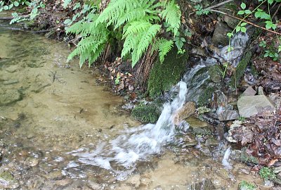 Studánka