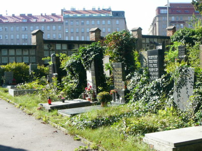 Hřbitov 10
