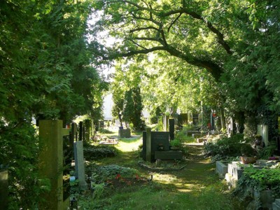 Hřbitov 12