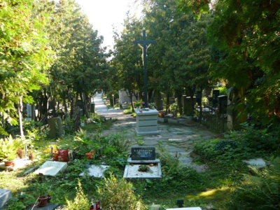 Hřbitov 5