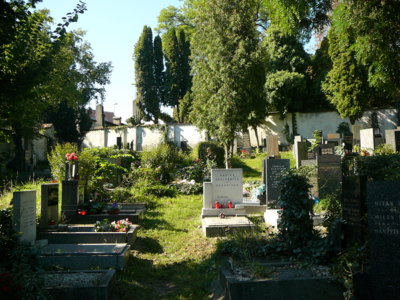Hřbitov 15