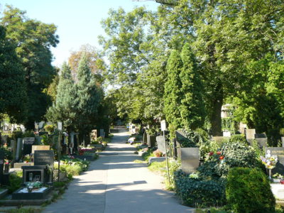 Hřbitov 1