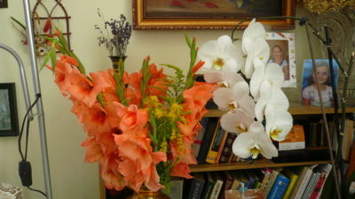 gladioly ze zahrady ,  orchidej z okna