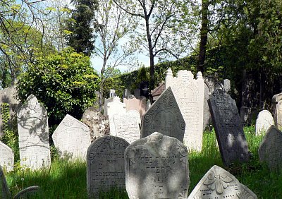 Židovský  hřbitov v Mikulově