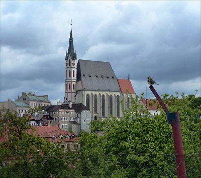 Krumlovská sýkorka a kostel Sv. Víta
