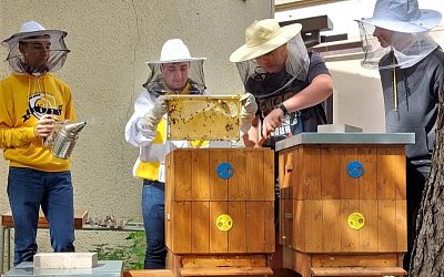 Včelařství, koníček pro všechny generace