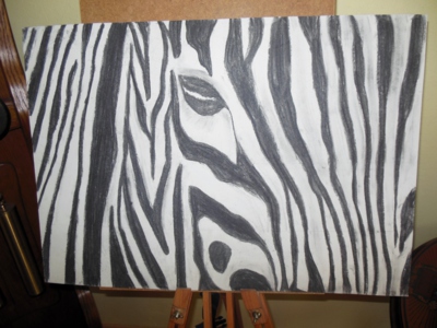 Zebra - uhel