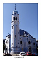 Modrý kostelík