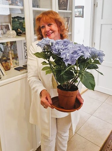 Daniela Řeřichová