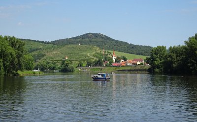 Velké Žernoseky s vinicemi