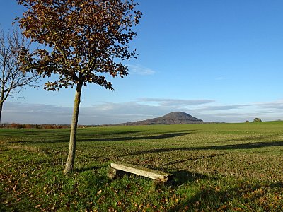 Lavička