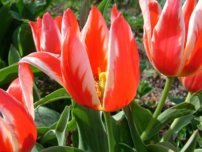 dscf5198.jpg