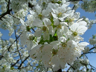dscf5216.jpg