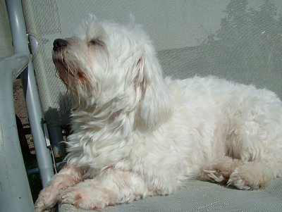 dscf5233.jpg