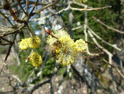 dscf6775-2.jpg