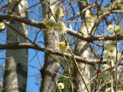 dscf6776-1.jpg