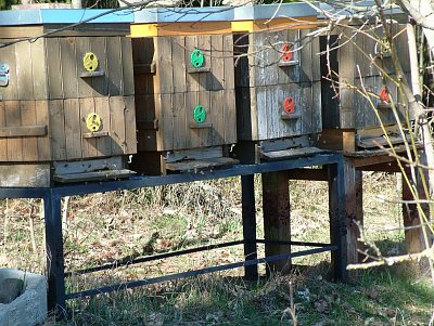 dscf6793-1.jpg