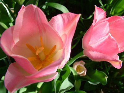 dscf6985.jpg