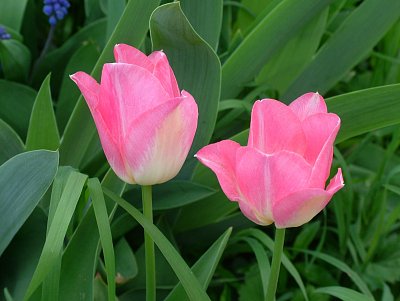 dscf7083.jpg