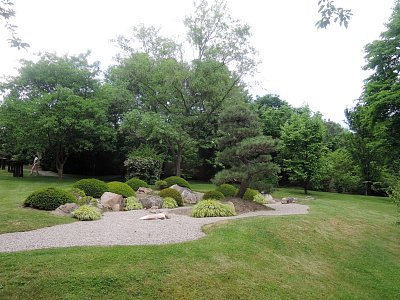 Borovice s úpravou okolí v Japon. zahradě
