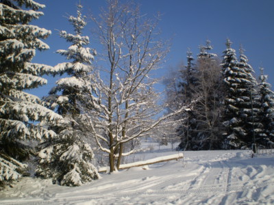 Zimní den v Krkonoších