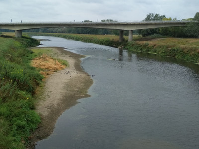 Hraniční řeka Morava