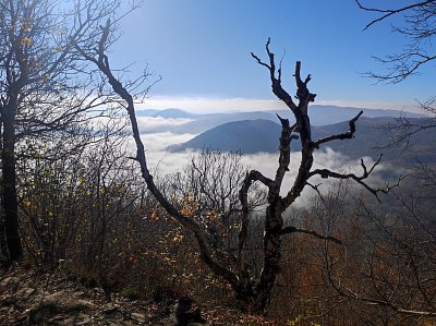 Cestou na Milešovku