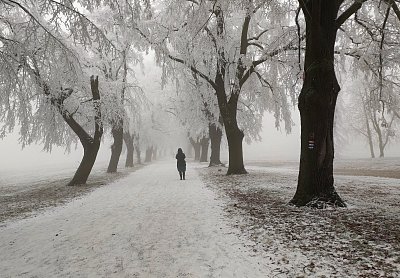 Turistickou cestou na Říp