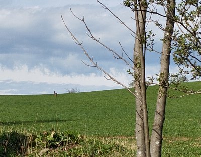 img-20250425-134820-1.jpg