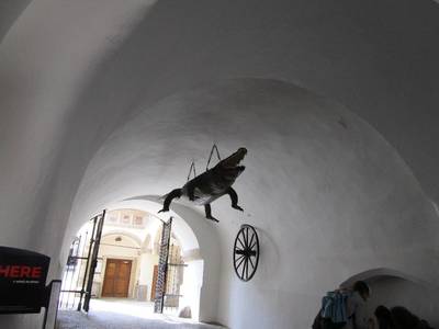 Být v Brně a nevidět draka a kolo?