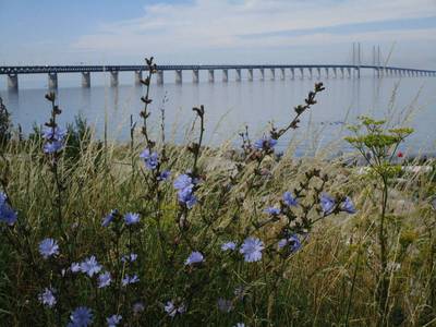 Most přes Öresund spojuje Dánsko se Švédskem
