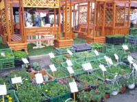 Výstava Zahrada