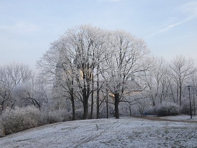 Schovávající se kostel Narození Panny Marie