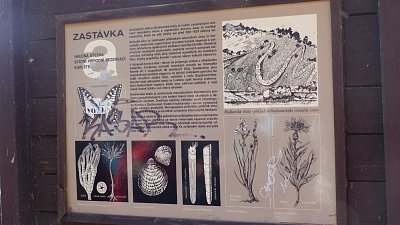 Informační tabule o zkamenělinách