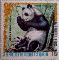 Panda velká na známce z Afriky