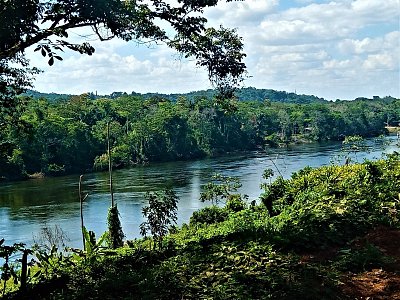 Řeka Surinam