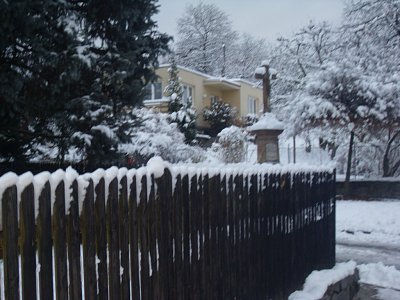 Také zasněžený plot je v čisté bílé nádheře velmi zajímavý