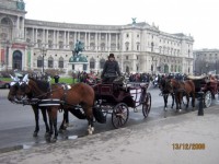 Wien moje město