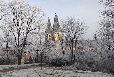 Novoroční jiskřivý zázrak