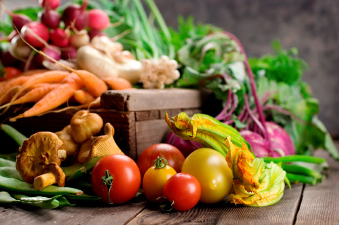 Je vegetariánství správná cesta?