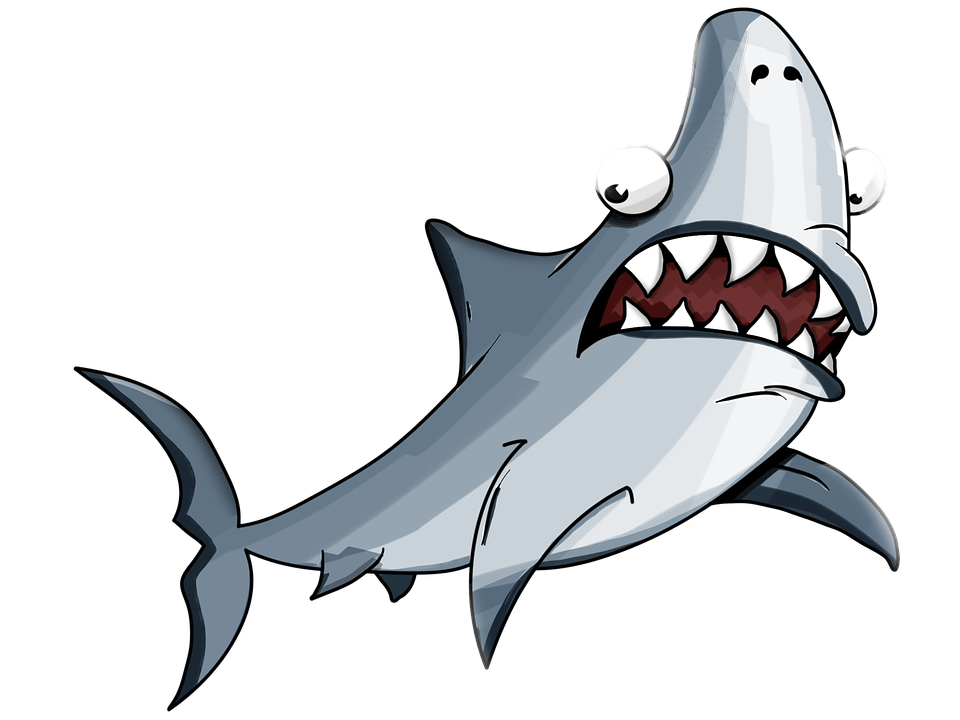 Příběh na 50 slov: Žralok